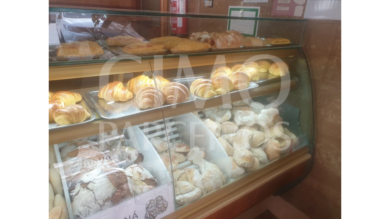 Negócio para Venda em Oliveira do Bairro Foto 2