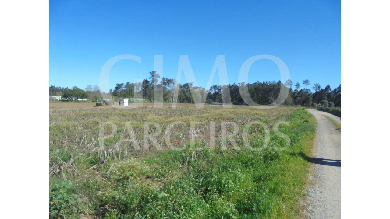 Terreno para Venda em Oiã Foto 3