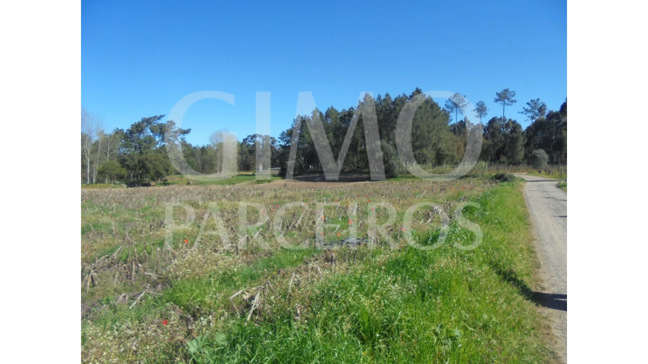 Terreno para Venda em Oiã Foto 4