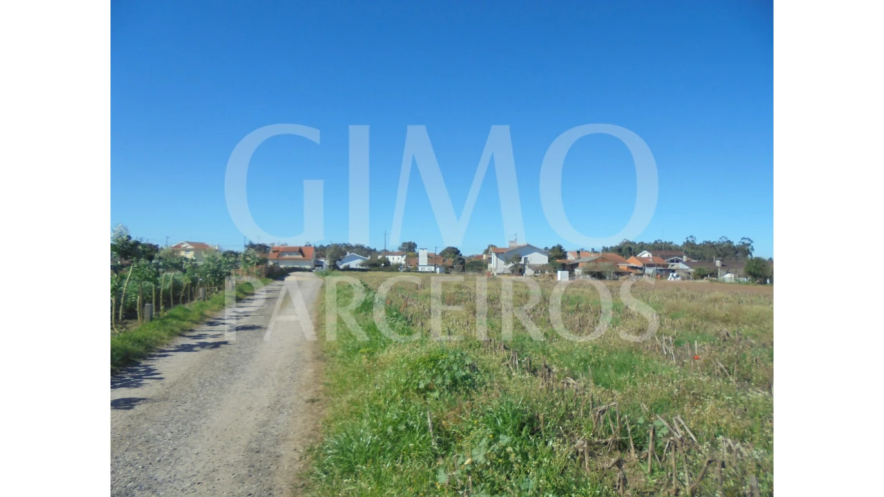 Terreno para Venda em Oiã Foto 5