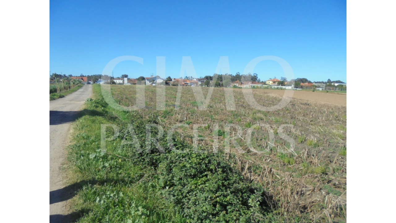 Terreno para Venda em Oiã Foto 7