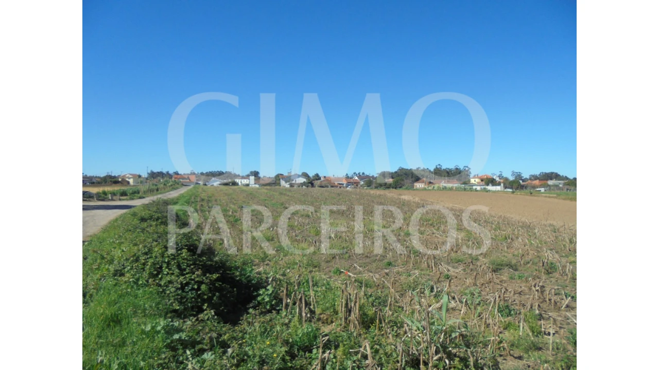 Terreno para Venda em Oiã Foto 9
