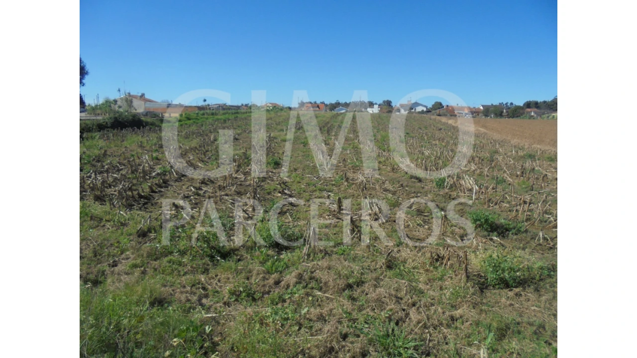 Terreno para Venda em Oiã Foto 13