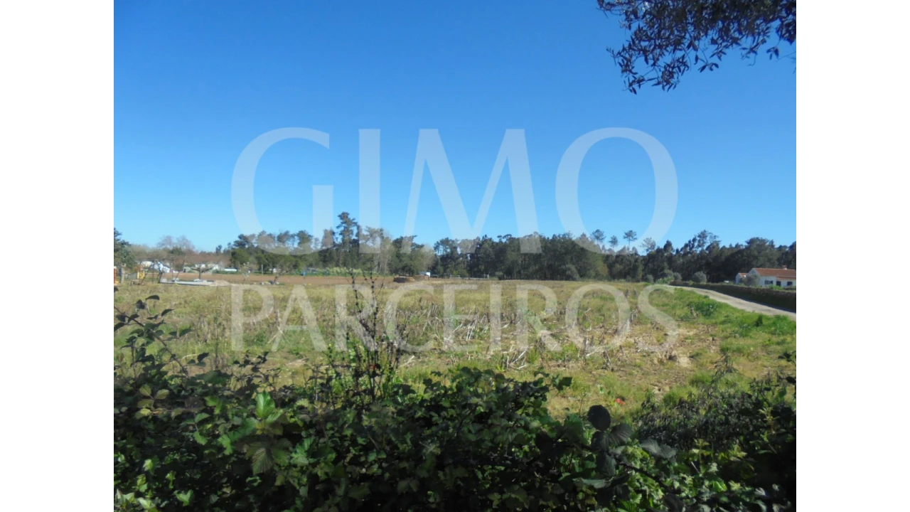 Terreno para Venda em Oiã Foto 16