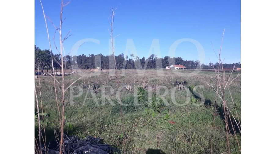 Terreno para Venda em Oiã