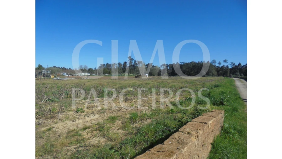 Terreno para Venda em Oiã Foto 2