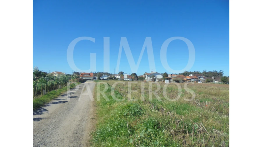 Terreno para Venda em Oiã Foto 5