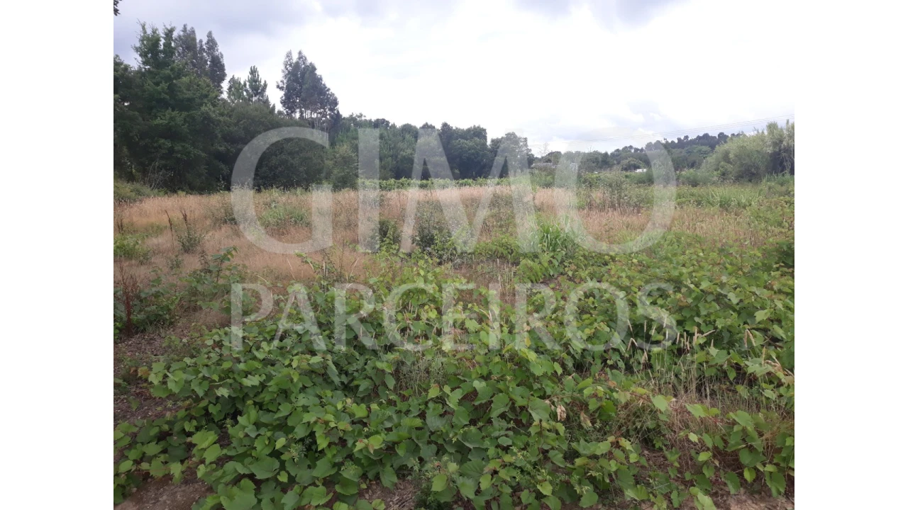 Terreno para Venda em Sangalhos Foto 5