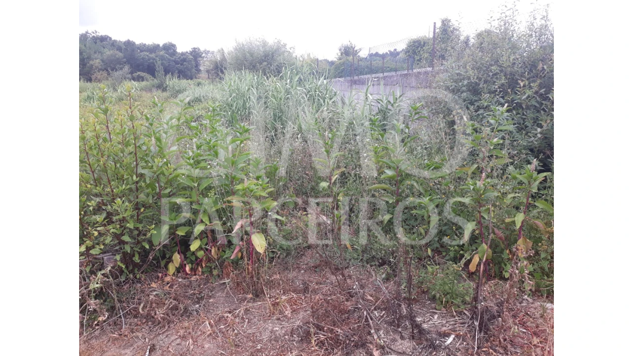 Terreno para Venda em Sangalhos Foto 7