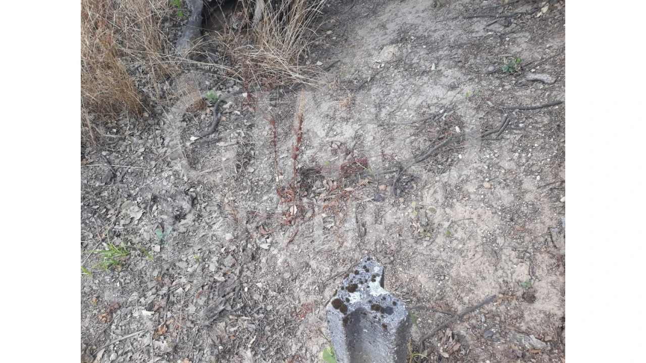 Terreno para Venda em Sangalhos Foto 8