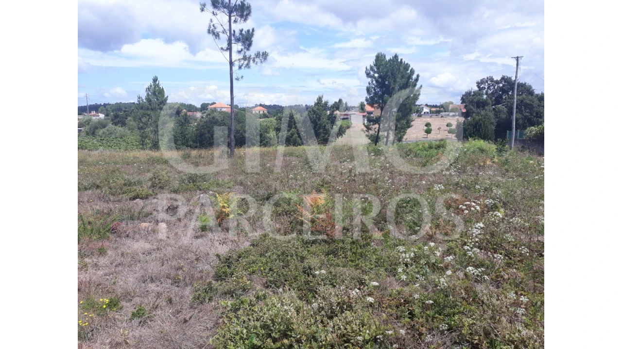 Terreno para Venda em Sangalhos Foto 11