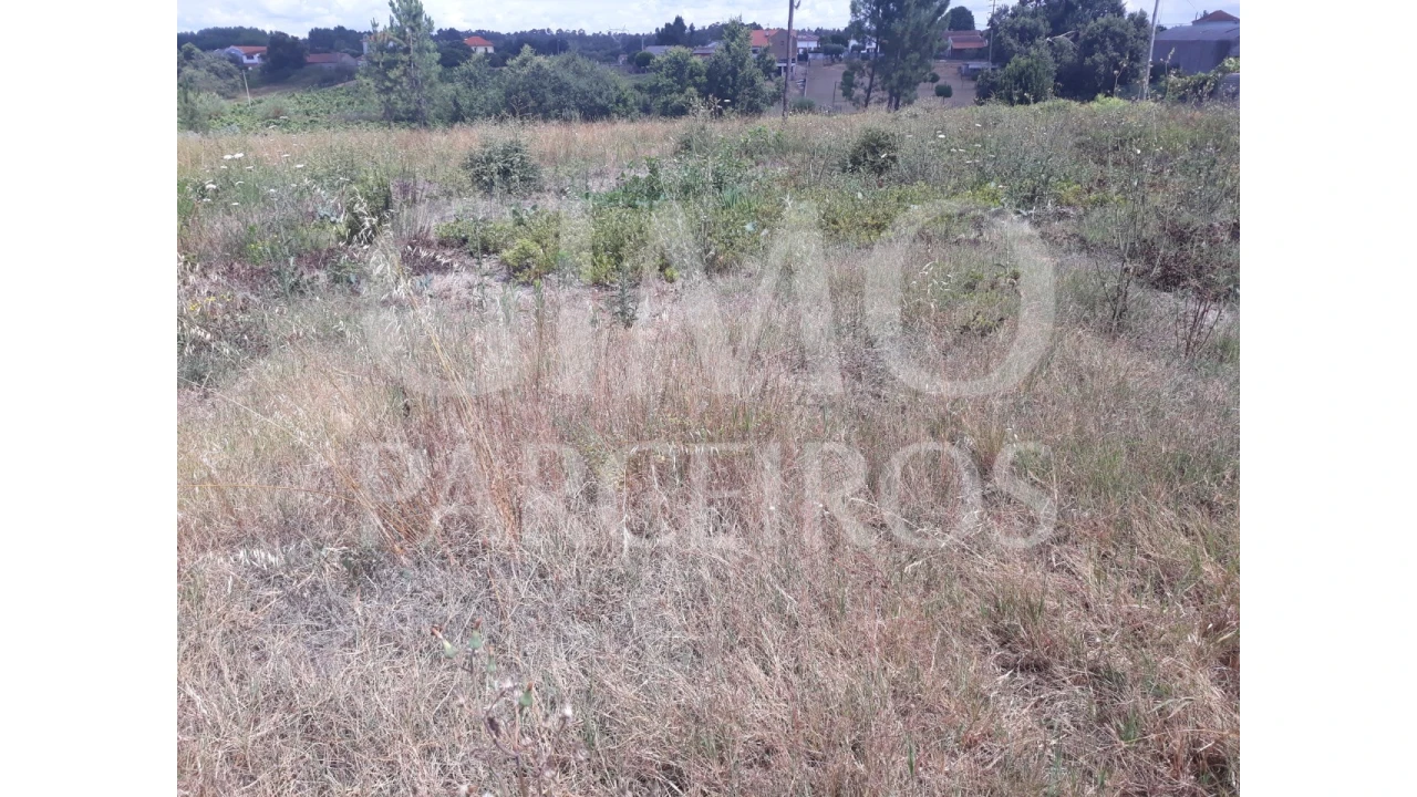 Terreno para Venda em Sangalhos Foto 12