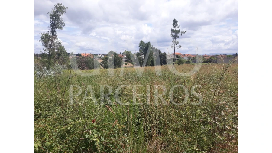 Terreno para Venda em Sangalhos Foto 1