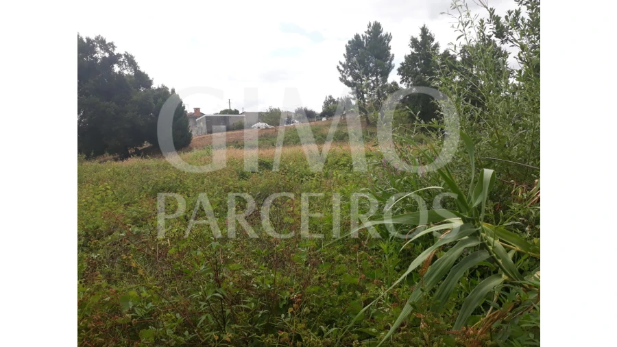 Terreno para Venda em Sangalhos Foto 2