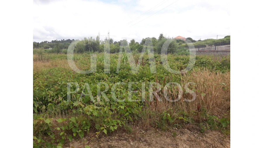 Terreno para Venda em Sangalhos Foto 6