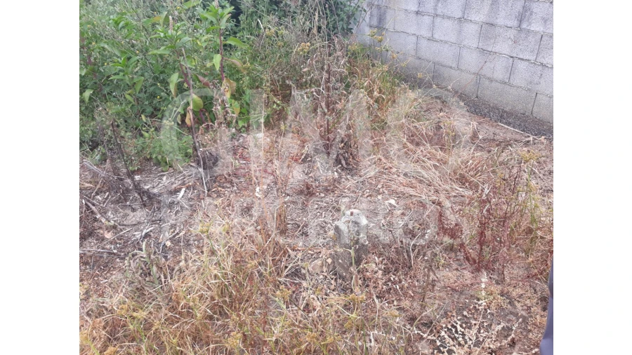 Terreno para Venda em Sangalhos Foto 9