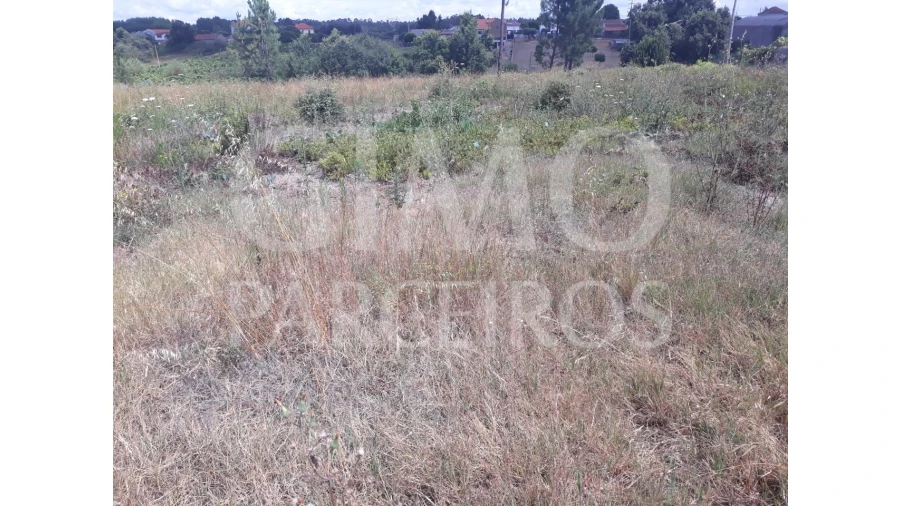 Terreno para Venda em Sangalhos Foto 12