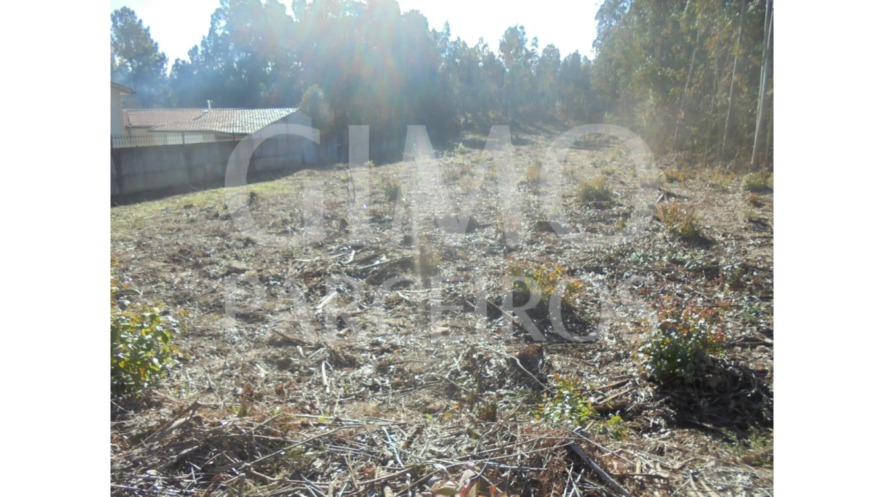 Terreno para Venda em Sangalhos Foto 1