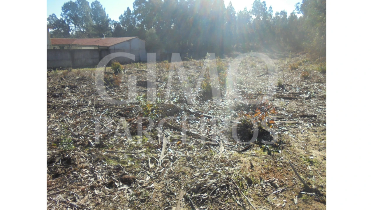 Terreno para Venda em Sangalhos Foto 4