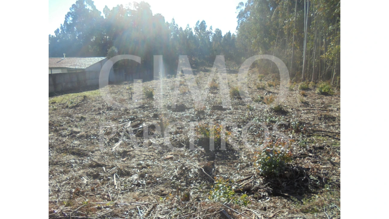 Terreno para Venda em Sangalhos Foto 8