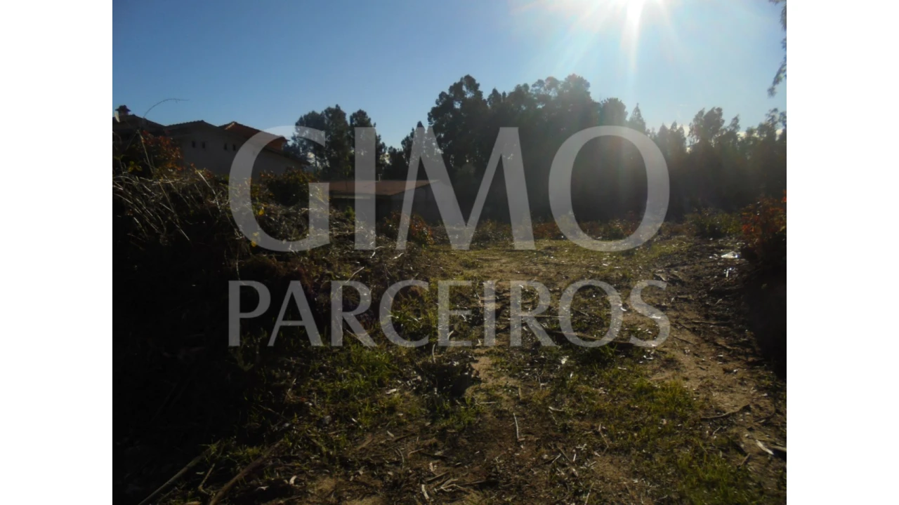 Terreno para Venda em Sangalhos Foto 10