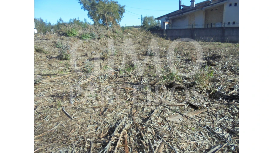 Terreno para Venda em Sangalhos Foto 2