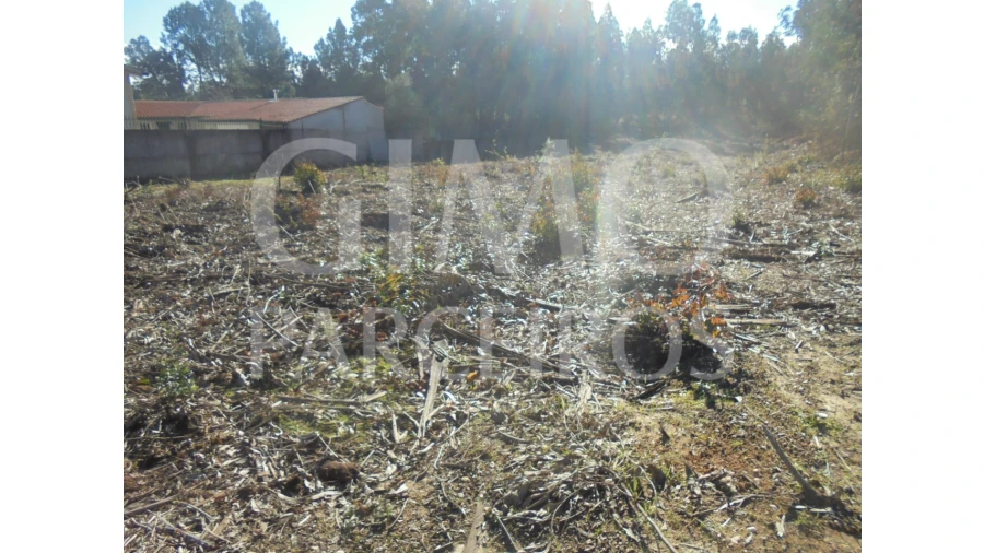 Terreno para Venda em Sangalhos Foto 4