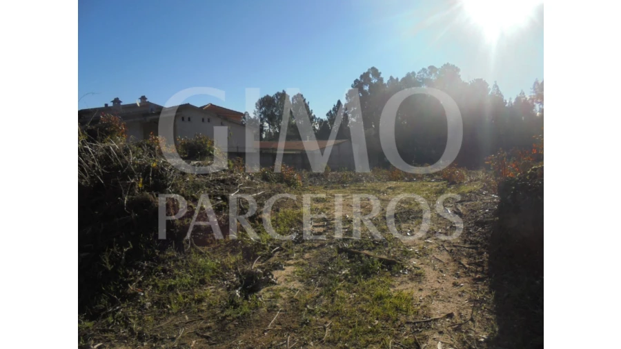 Terreno para Venda em Sangalhos Foto 5