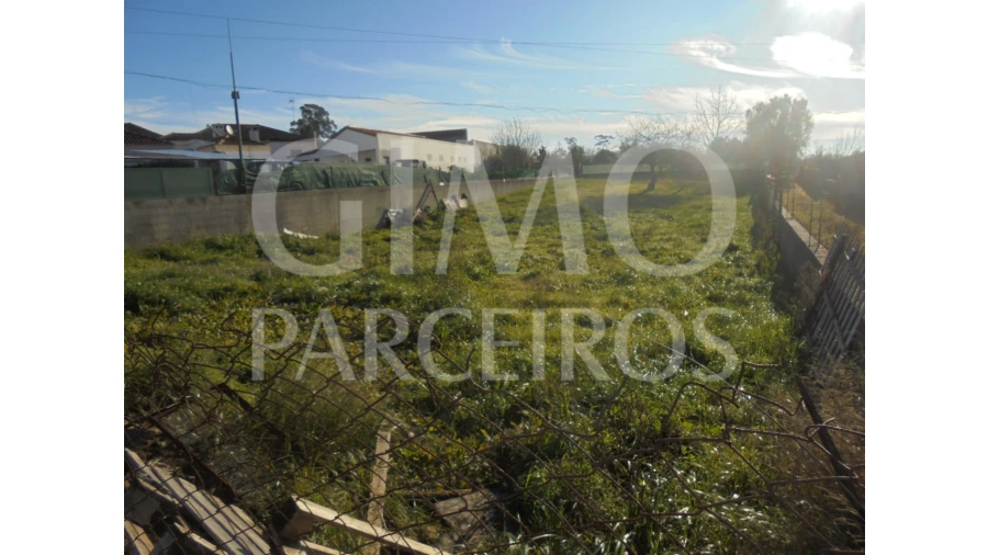 Terreno para Venda em Tamengos, Aguim e Óis do Bairro Foto 11