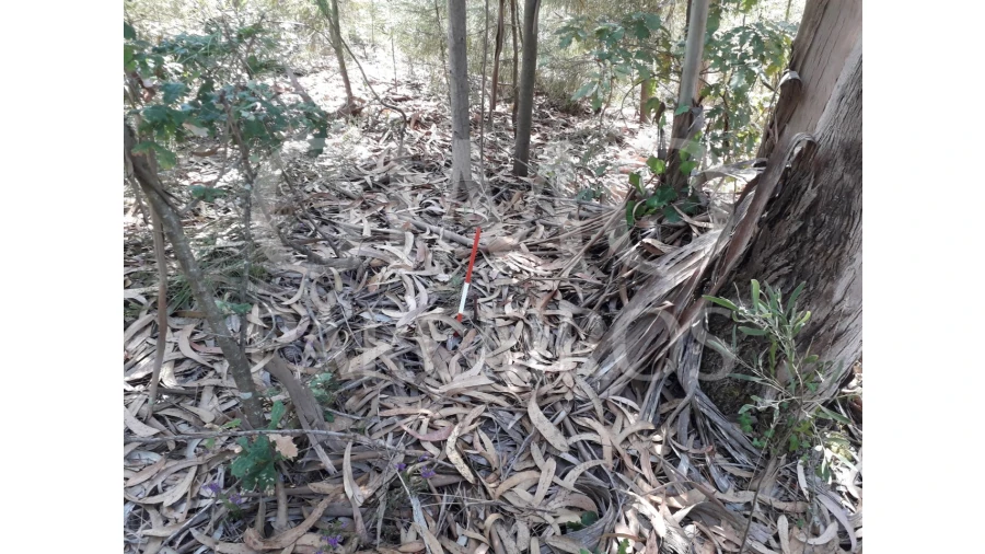Terreno Agricola ou Rústico para Venda em Oliveirinha Foto 3