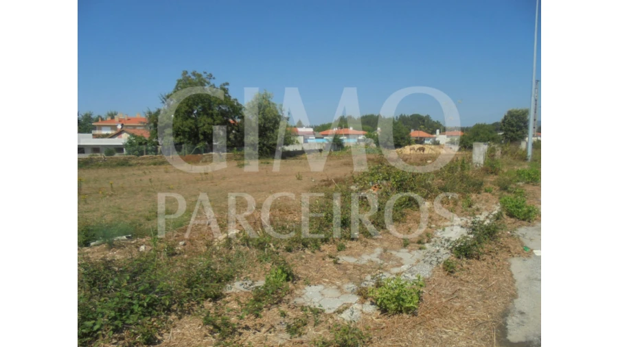 Terreno para Venda em Aguada de Cima Foto 4