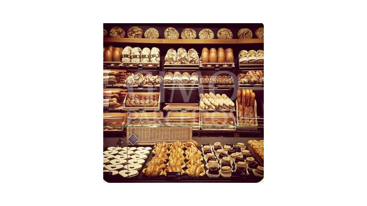 Negócio para Venda em Barrô e Aguada de Baixo Foto 1