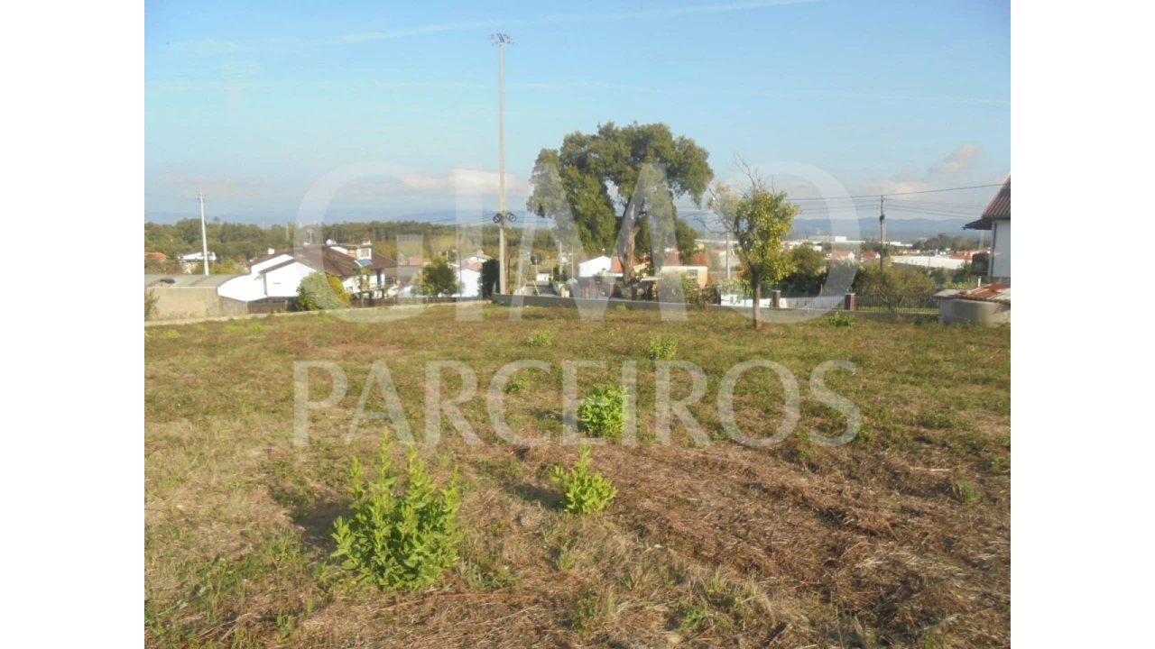 Terreno para Venda em Barrô e Aguada de Baixo Foto 4