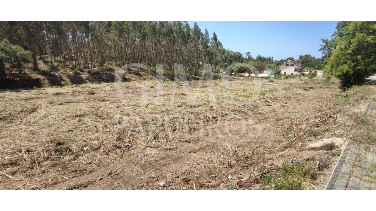 Terreno para Venda em Sangalhos Foto 4