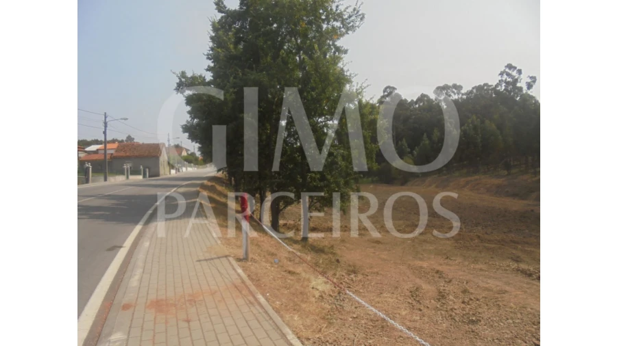 Terreno para Venda em Sangalhos