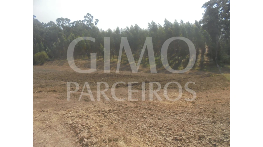 Terreno para Venda em Sangalhos Foto 2