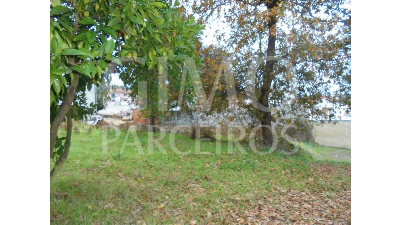 Terreno para Venda em Avelãs de Caminho Foto 1
