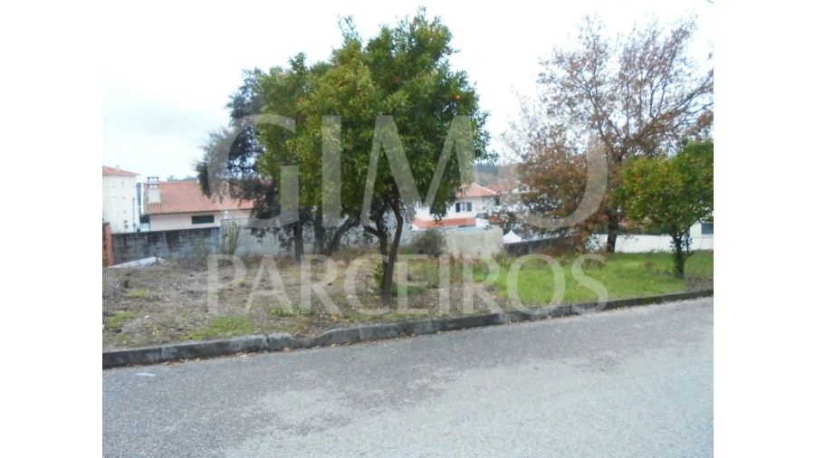 Terreno para Venda em Avelãs de Caminho Foto 2