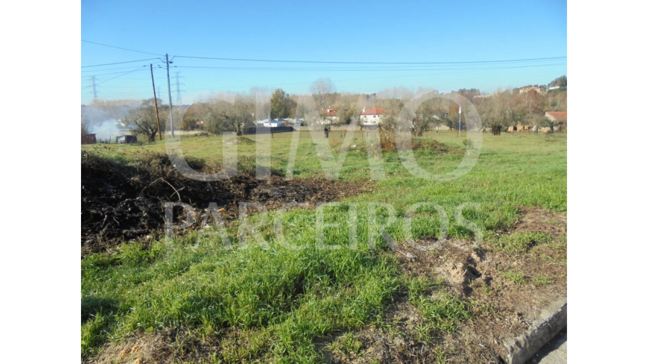 Terreno para Venda em Avelãs de Caminho Foto 1