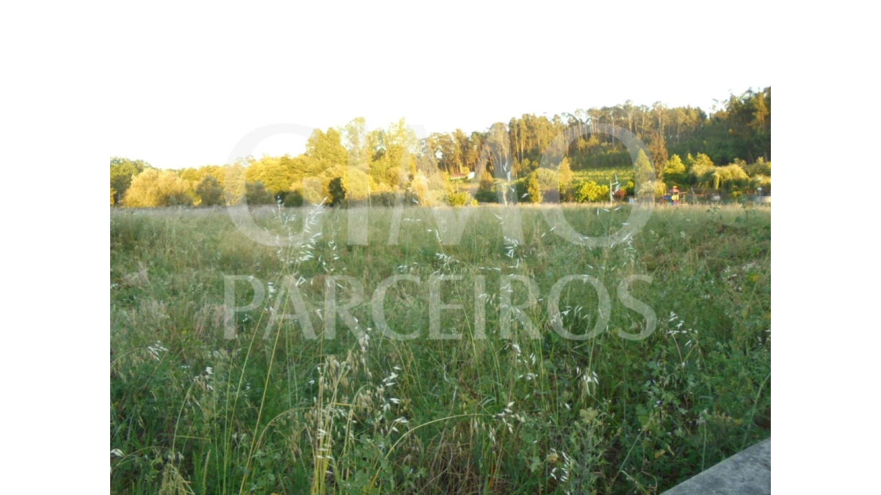 Moradia T7 para Venda em Bustos, Troviscal e Mamarrosa Foto 49