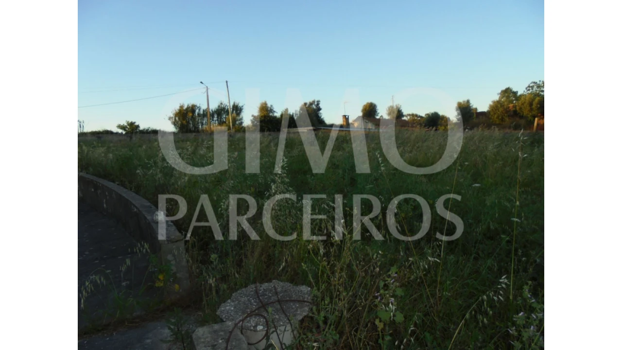 Moradia T7 para Venda em Bustos, Troviscal e Mamarrosa Foto 50