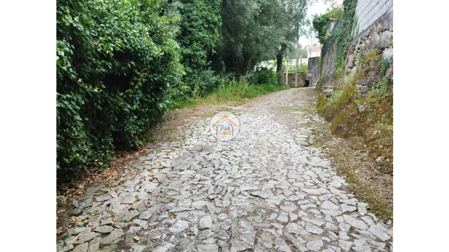 Moradia para Venda em Lemenhe, Mouquim e Jesufrei Foto 7