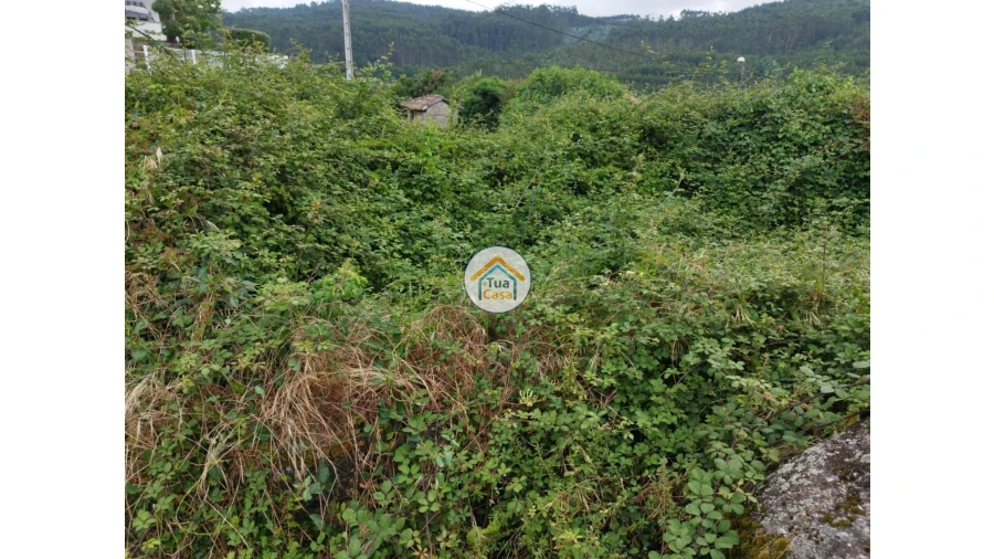 Moradia para Venda em Lemenhe, Mouquim e Jesufrei Foto 16