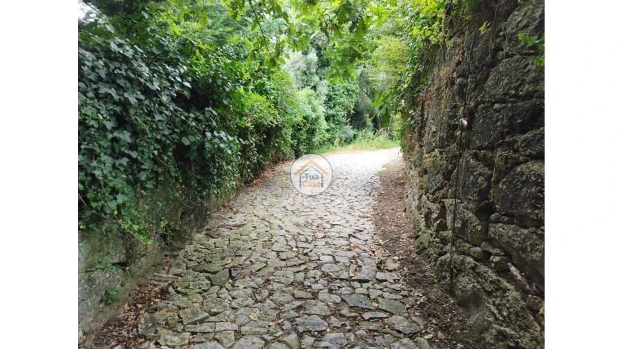 Moradia para Venda em Lemenhe, Mouquim e Jesufrei Foto 12