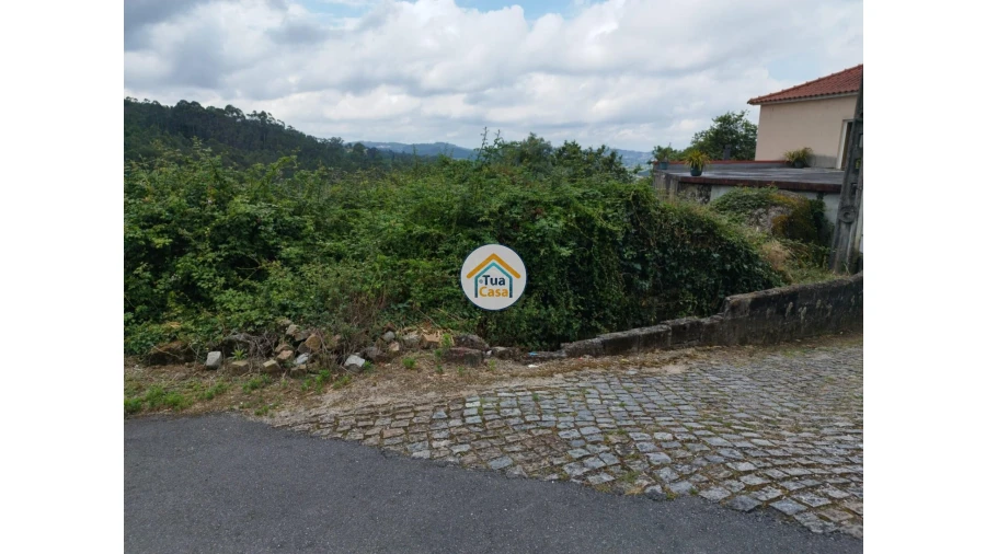 Moradia para Venda em Lemenhe, Mouquim e Jesufrei Foto 14