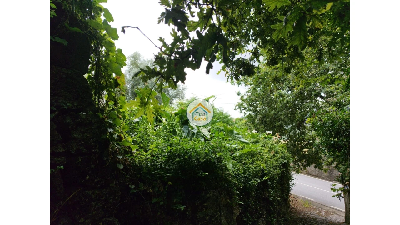 Moradia para Venda em Lemenhe, Mouquim e Jesufrei Foto 8