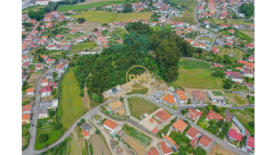 Terreno para Venda em Areias, Sequeirô, Lama e Palmeira Foto 13