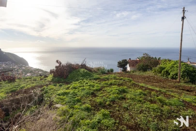 Terreno para Venda em Arco da Calheta