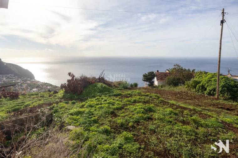 Terreno para Venda em Arco da Calheta Foto 4