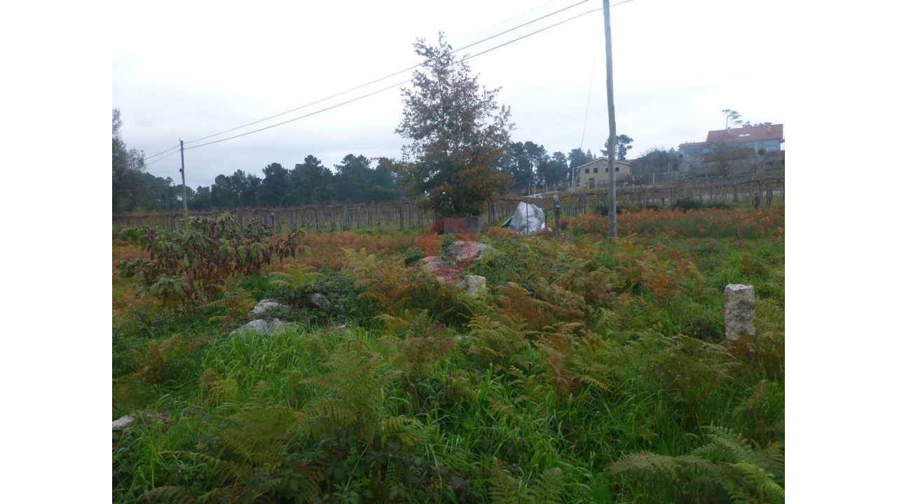 Moradia T2 para Venda em Moreira Foto 4